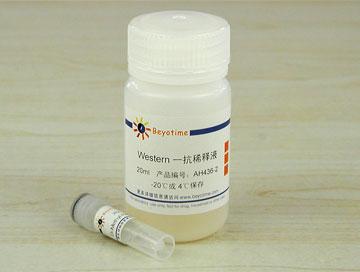 Di-Methyl-Histone H3(Lys4)抗体(兔单抗)